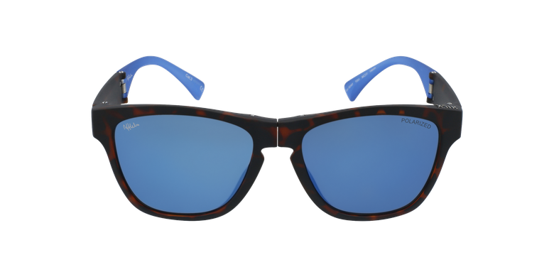 Óculos de sol homem GEANT POLARIZED TO tartaruga/azul