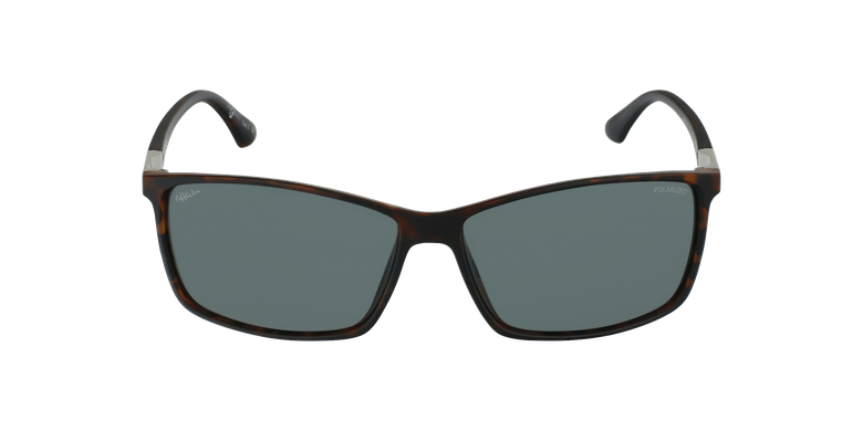 Óculos de sol homem SHAUN TO tartaruga
