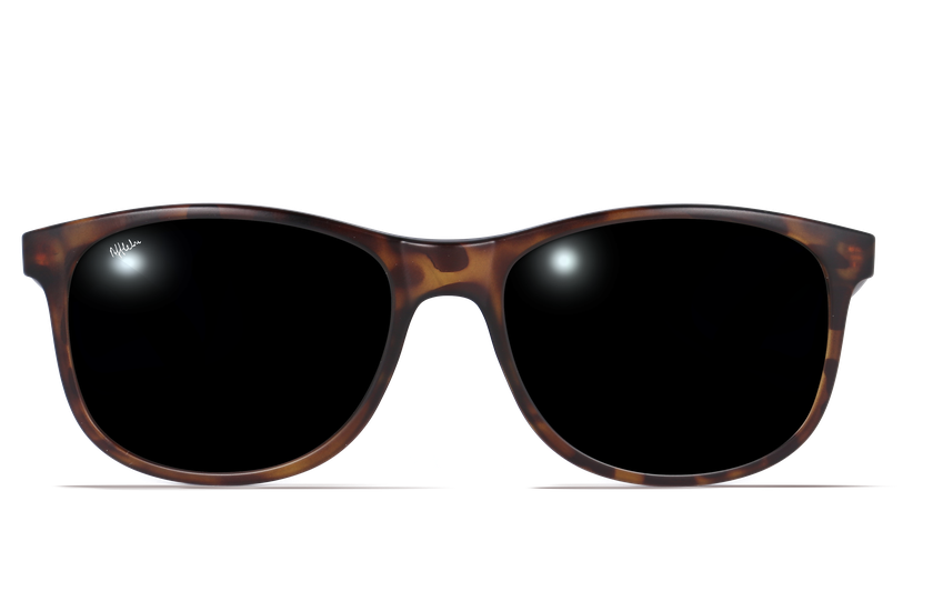 Gafas de sol hombre TAYLOR POLARIZED carey - danio.store.product.image_view_face Gafas de sol hombre TAYLOR POLARIZED carey - danio.store.product.image_view_face