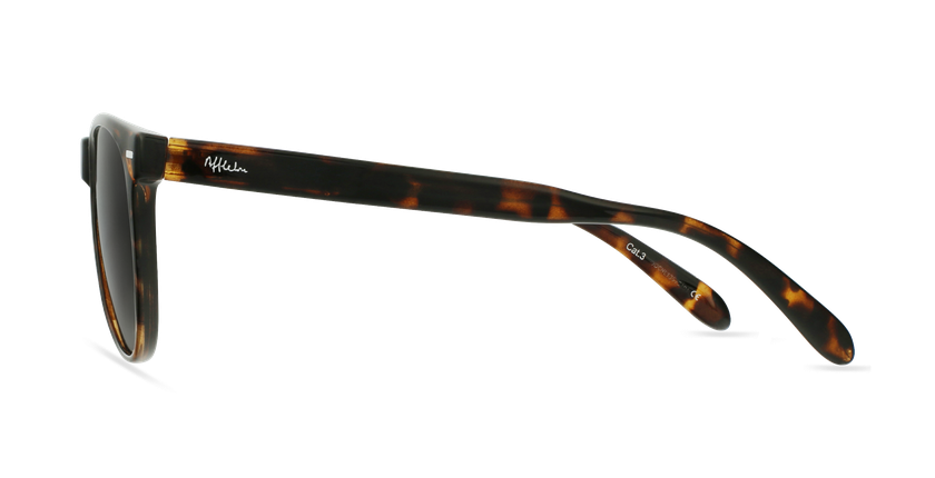 Óculos de sol MIRAMAR TO tartaruga/castanho - Vista lateral