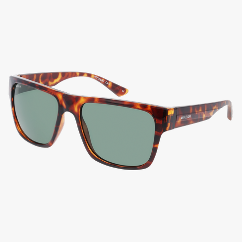 LUNETTES DE SOLEIL homme AMBRIOSO écaille