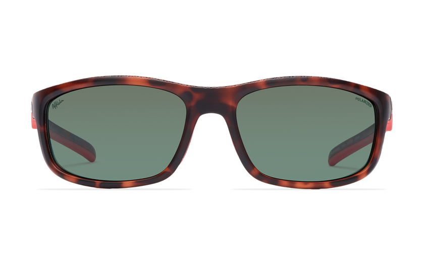 Gafas de sol hombre DUNDEE carey - danio.store.product.image_view_face Gafas de sol hombre DUNDEE carey - danio.store.product.image_view_face