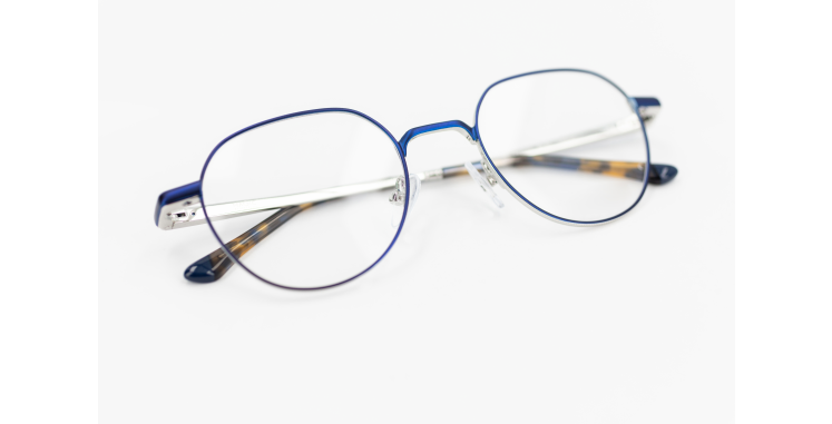 Lunettes de vue MAGIC 95 bleu/argenté