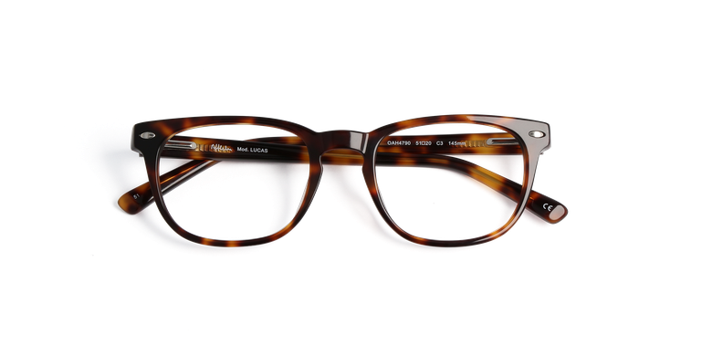 Óculos graduados homem LUCAS tartaruga

