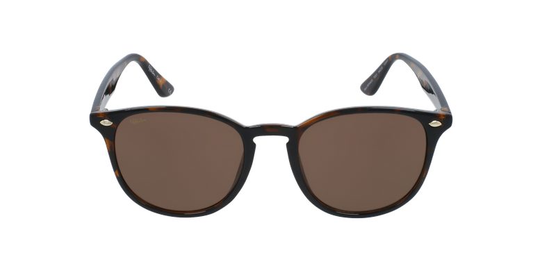 Óculos de sol SENADO TO tartaruga
