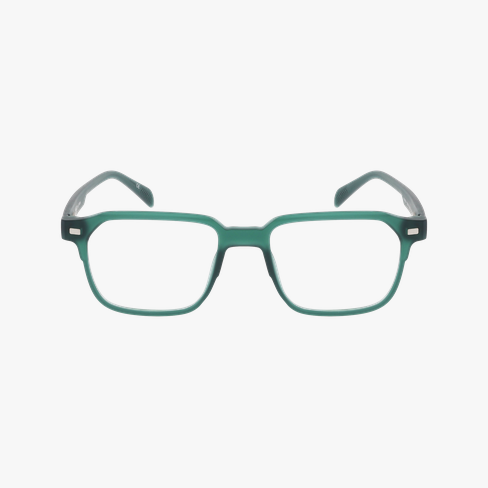 Lunettes de vue homme MAGIC FIRMIN vert