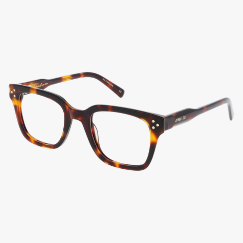 LUNETTES DE VUE femme CARACTÈRES EXPRESSIVE écaille