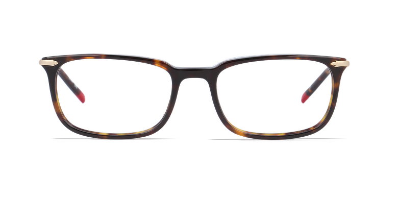 Óculos graduados homem DUDLEY tartaruga
