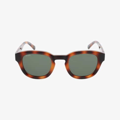LUNETTES DE SOLEIL ELDORADO écaille