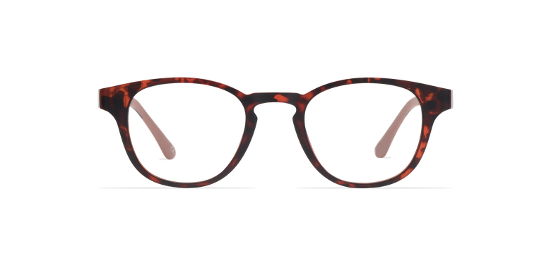 Óculos graduados homem MAGIC 03 tartaruga
