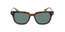 ÓCULOS DE SOL Toby Polarized tartaruga