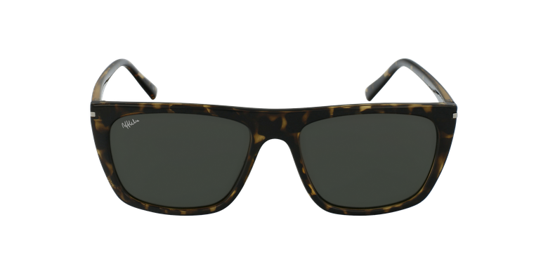 Óculos de sol ARIANY to tartaruga
