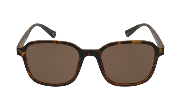 Gafas de sol SOLFEO carey - danio.store.product.image_view_face Gafas de sol SOLFEO carey - danio.store.product.image_view_face