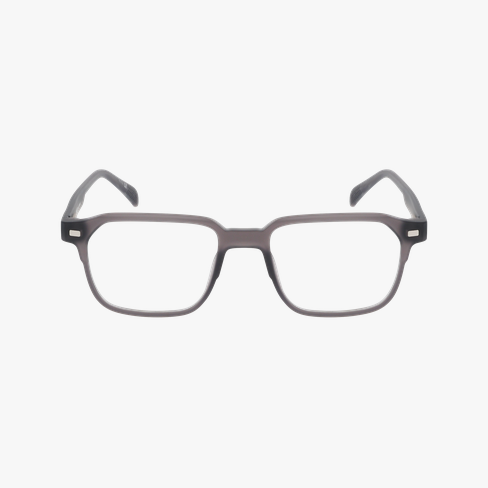 Lunettes de vue homme MAGIC FIRMIN gris Vue de face