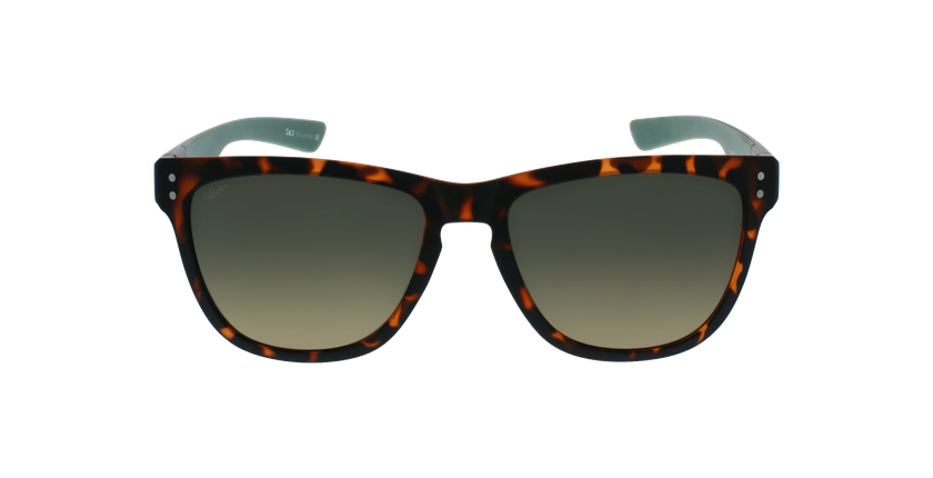 Óculos de sol WILD TO POLARIZED tartaruga/verde - Vista de frente