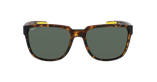 LUNETTES DE SOLEIL homme BERTO écaille - Vue de face