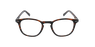 ÓCULOS GRADUADOS FORTY (óculos Leitura, várias grad.) c/ filtro luz azul tartaruga/tartaruga