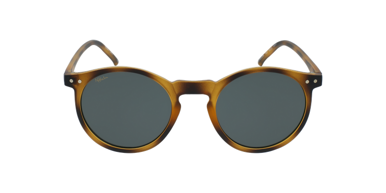 Óculos de sol AGUILERA TO tartaruga
