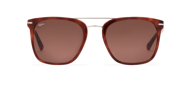 Óculos de sol homem DARWIN tartaruga
