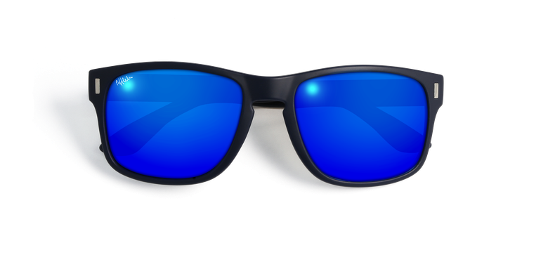 Óculos de sol homem DYLAN POLARIZED tartaruga
