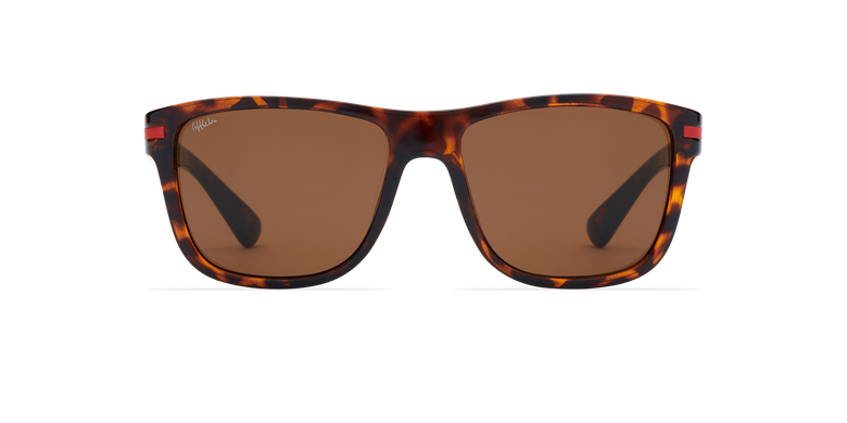 Óculos de sol homem DIEGO TO (TCHIN-TCHIN +1€) tartaruga
