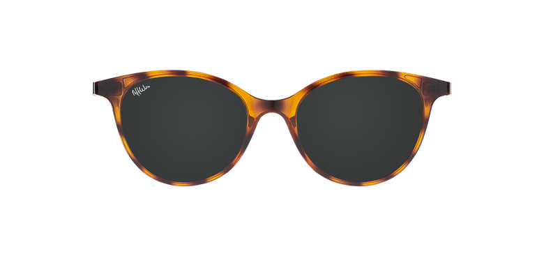 CLIP MAGIC 23 SUN CAT. 3 - Vista de frente