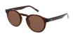 LUNETTES DE SOLEIL AZANO écaille/marron - Vue de face