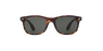 LUNETTES DE SOLEIL CARUCEDO écaille