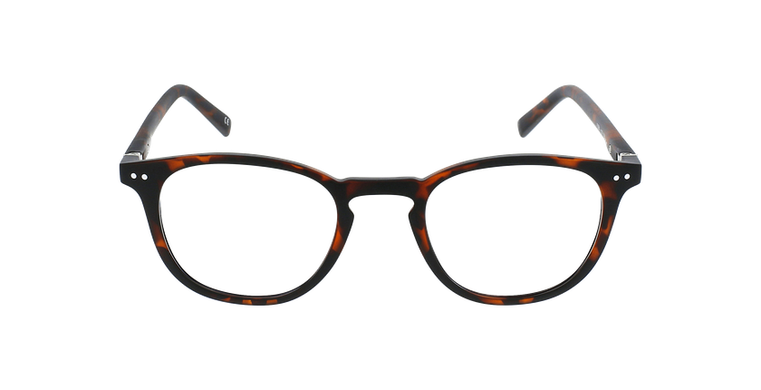 Óculos graduados FORTY (óculos Leitura, várias grad.) c/ filtro luz azul tartaruga/tartaruga - Vista de frente
