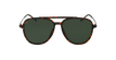 Óculos de sol homem RILEY POLARIZED TO tartaruga/preto - Vista de frente