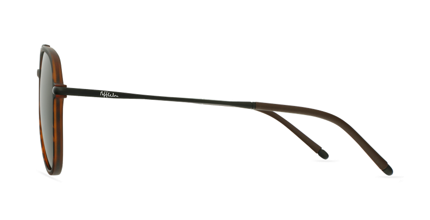 Óculos de sol homem RILEY POLARIZED TO tartaruga/preto - Vista lateral