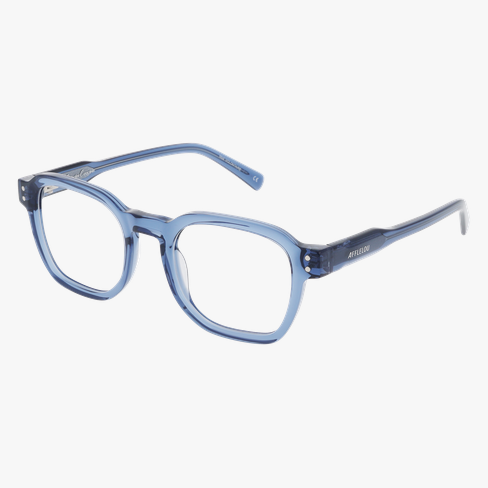 Lunettes de vue homme CARACTÈRES VOLONTAIRE bleu/violet