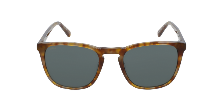 Óculos de sol homem ERVIN HV tartaruga
