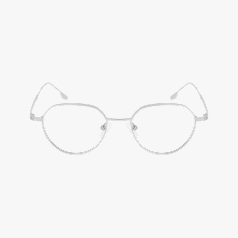 LUNETTES DE VUE homme MAGIC295 argenté Vue de face