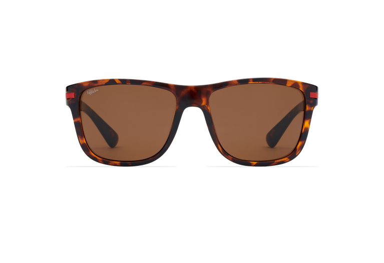 DIEGO TO (TCHIN-TCHIN +1€)