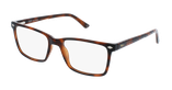 LUNETTES DE VUE homme MAGIC GOBAIN marron - Vue de face