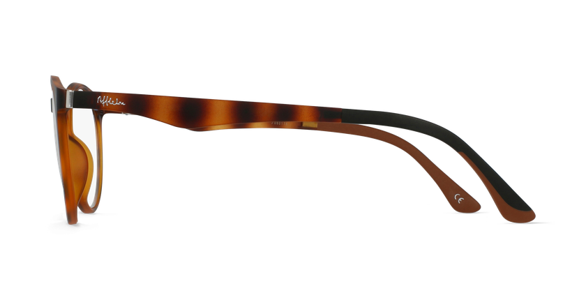 Óculos graduados MAGIC 35 TO01 BLUEBLOCK - BLOQUEIO LUZ AZUL tartaruga
 - Vista lateral