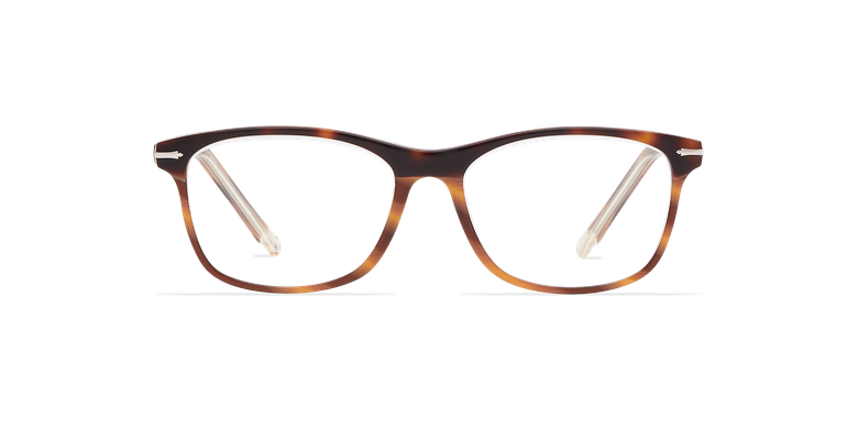 Óculos graduados homem ARBOIS tartaruga
/prateado