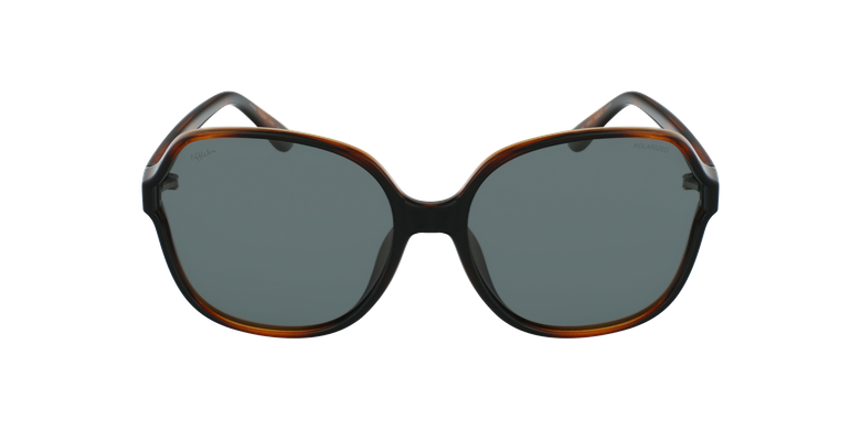 Óculos de sol senhora PAIGE TO tartaruga
